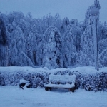 Zima 2010 nad Białą Przemszą